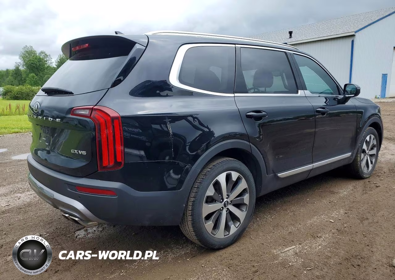 2020 Kia Telluride Ex VIN:5XYP3DHC5LG058597 - 3