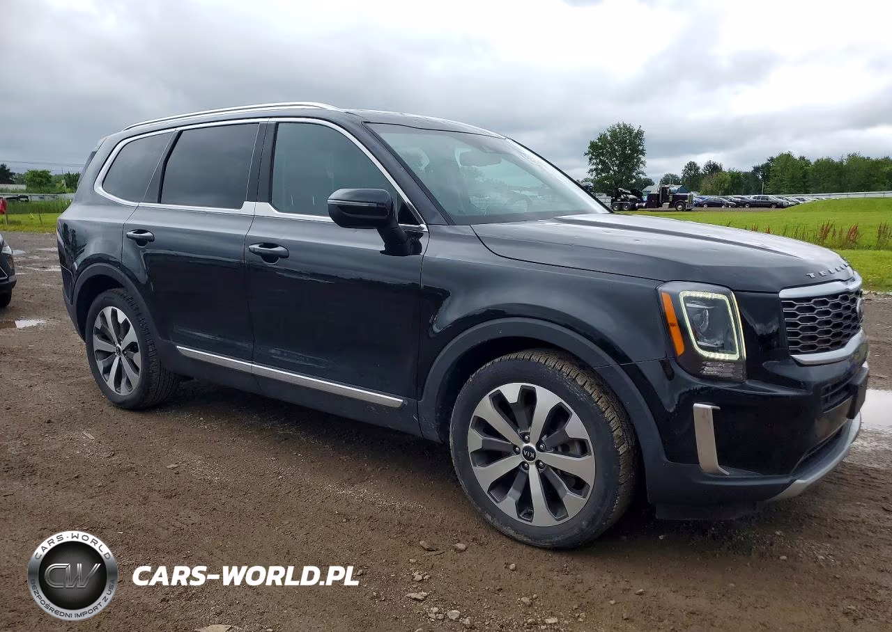 2020 Kia Telluride Ex VIN:5XYP3DHC5LG058597 - 4
