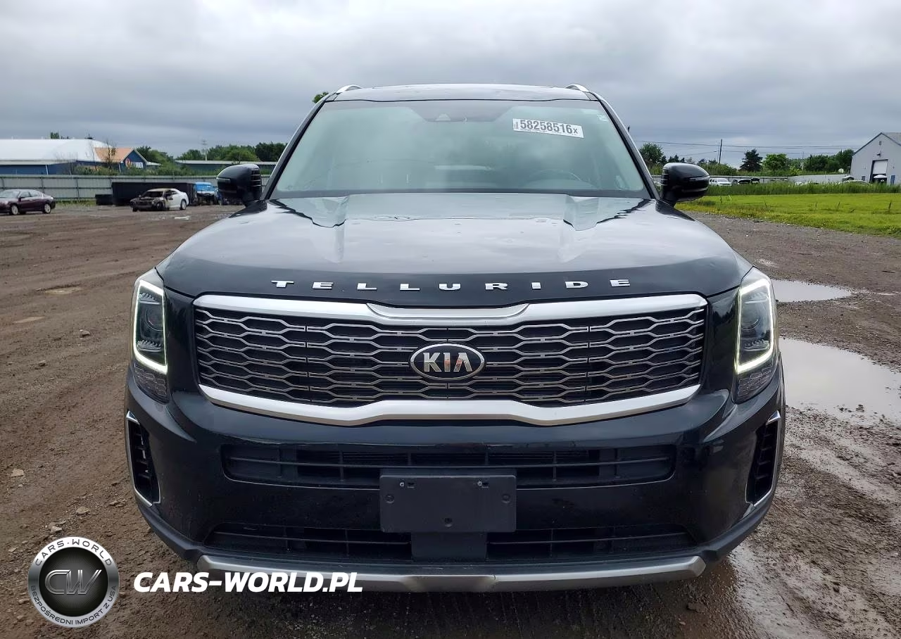 2020 Kia Telluride Ex VIN:5XYP3DHC5LG058597 - 5