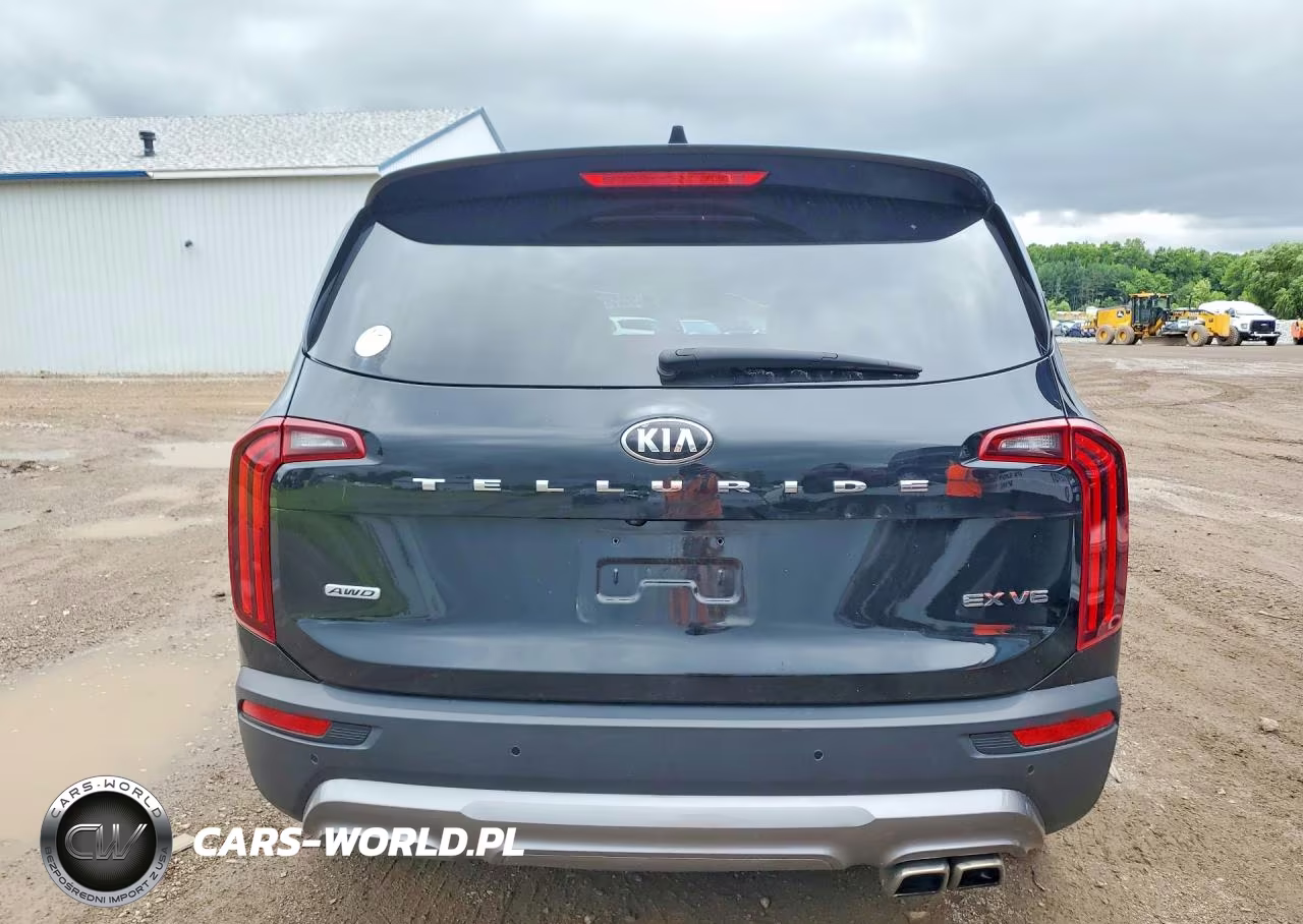 2020 Kia Telluride Ex VIN:5XYP3DHC5LG058597 - 6