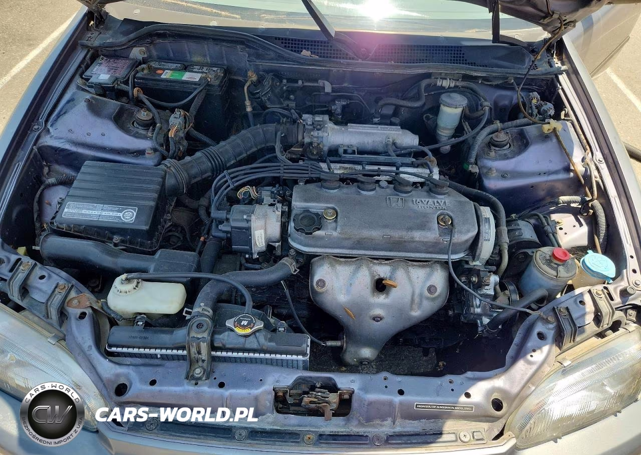 1995 Honda Civic Dx VIN:1HGEG8642SL012356 - 11