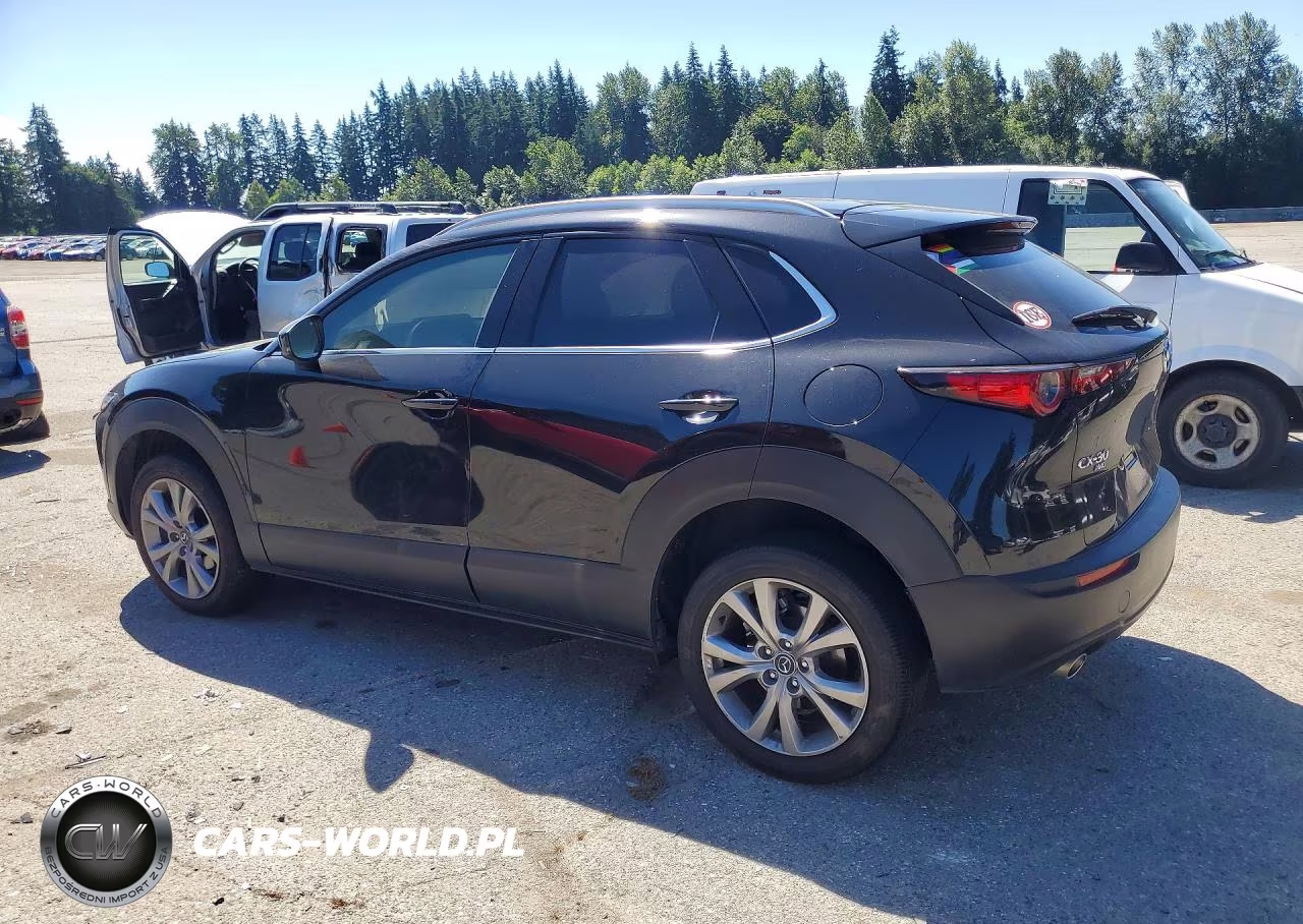 2023 Mazda Cx-30 Premium VIN:3MVDMBDM5PM520988 - 2