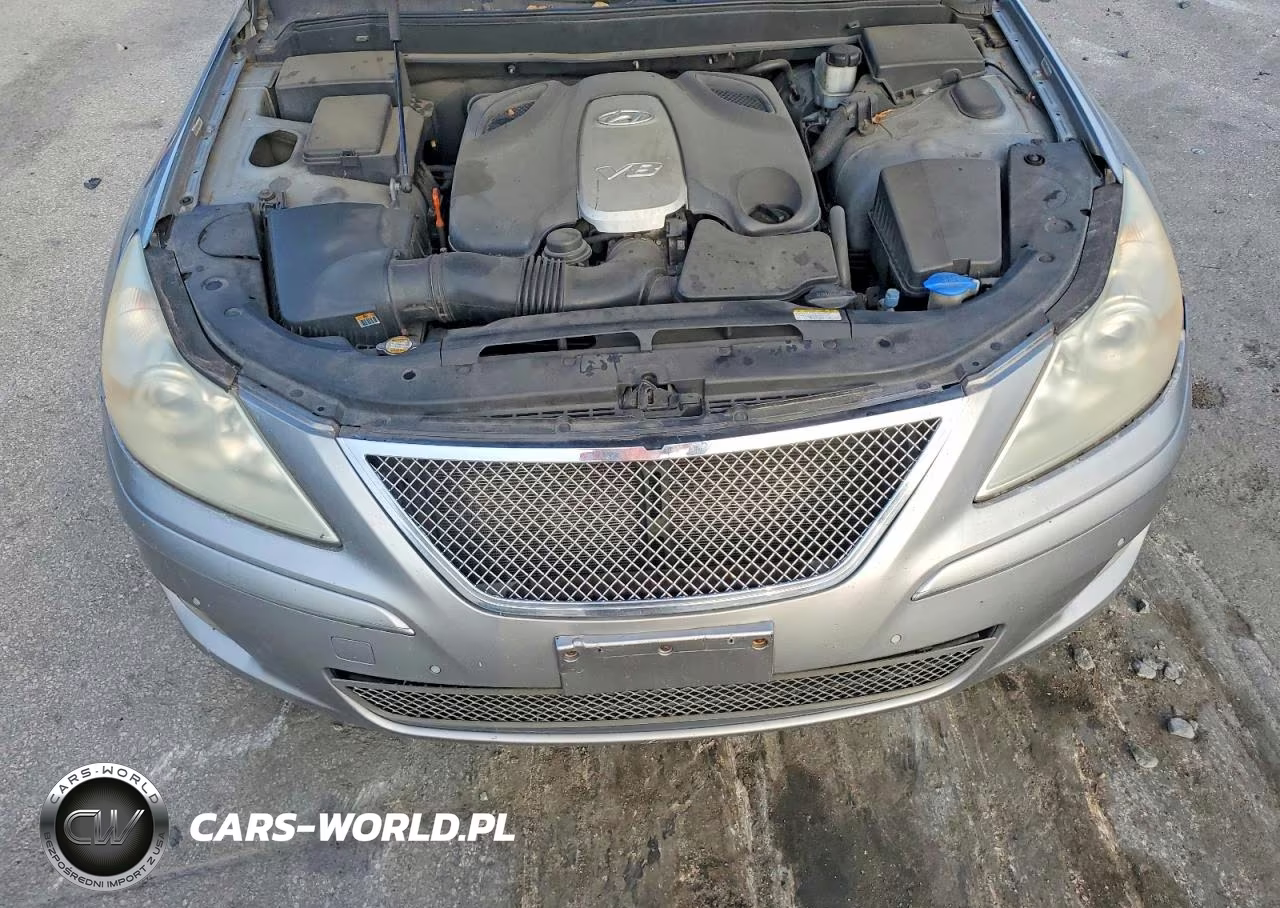 2009 Hyundai Genesis 4.6L VIN:KMHGC46F79U055006 - 11