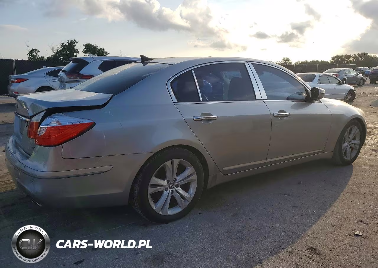 2009 Hyundai Genesis 4.6L VIN:KMHGC46F79U055006 - 3