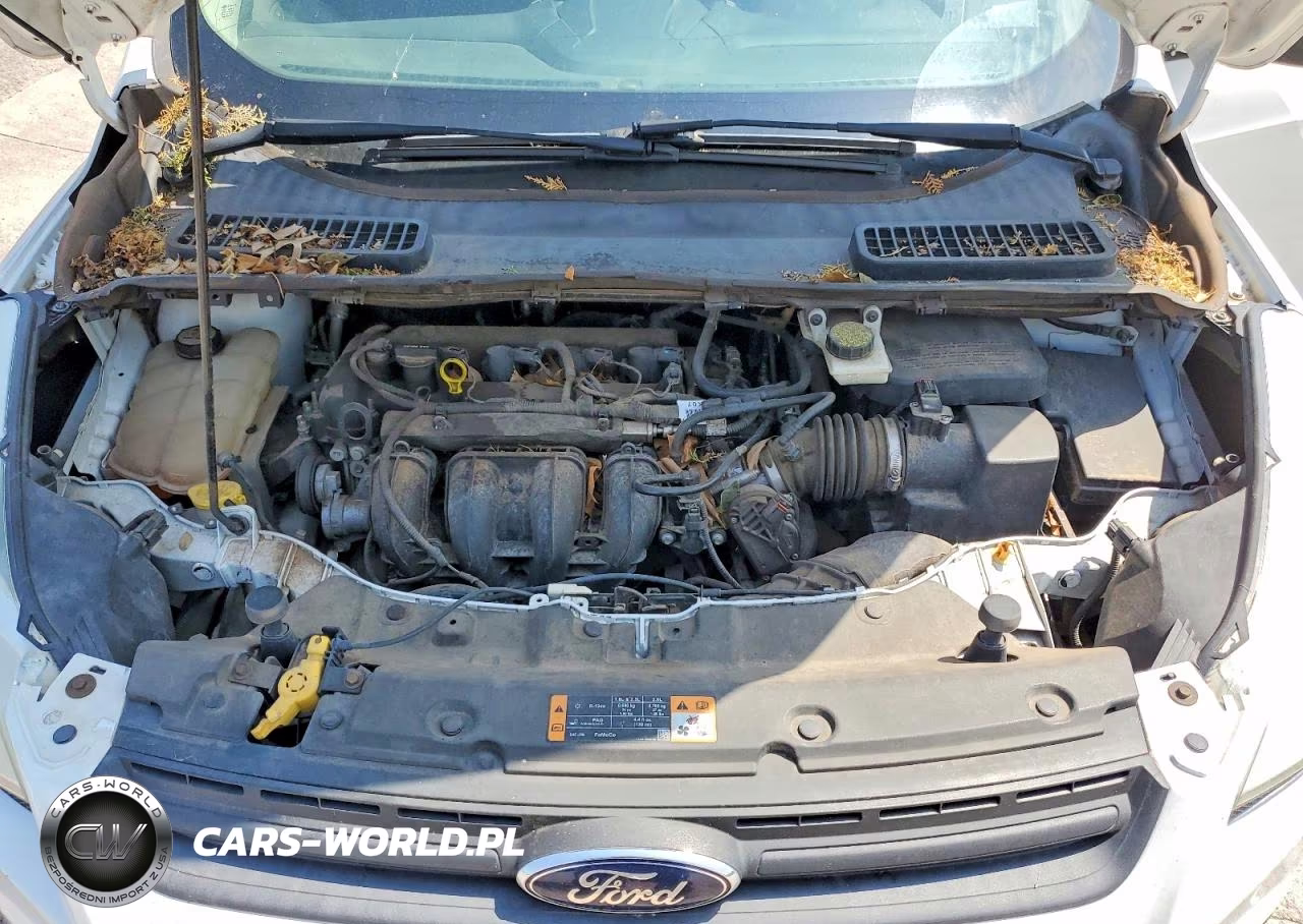 2013 Ford Escape S VIN:1FMCU0F79DUC03744 - 12