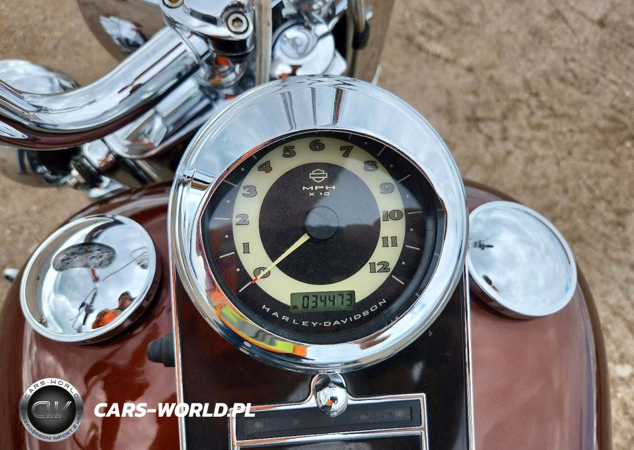 2009 Harley-Davidson Flstn VIN:1HD1JD5109Y058102 - 7