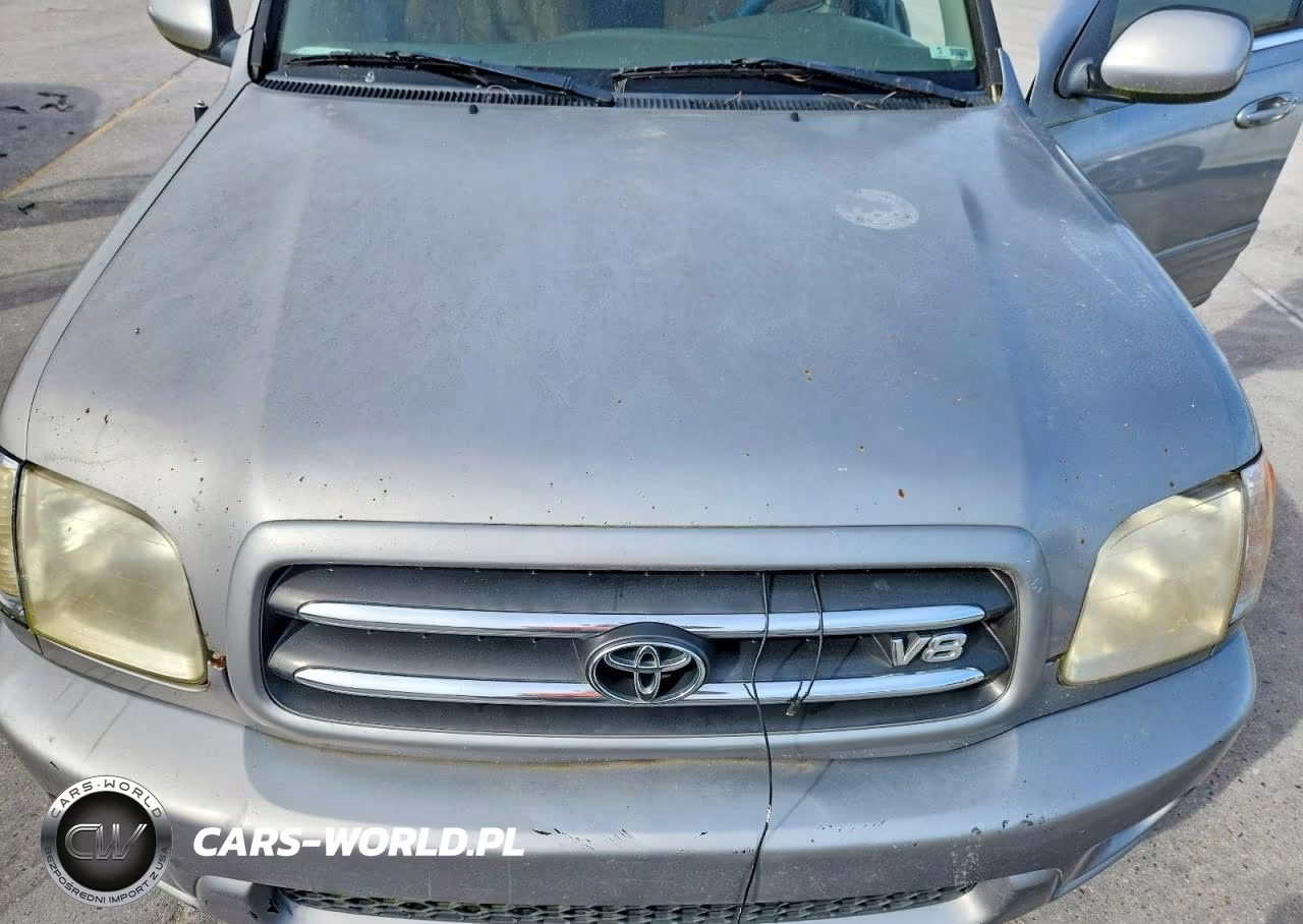 2004 Toyota Sequoia Limited VIN:5TDZT38A74S222695 - 11
