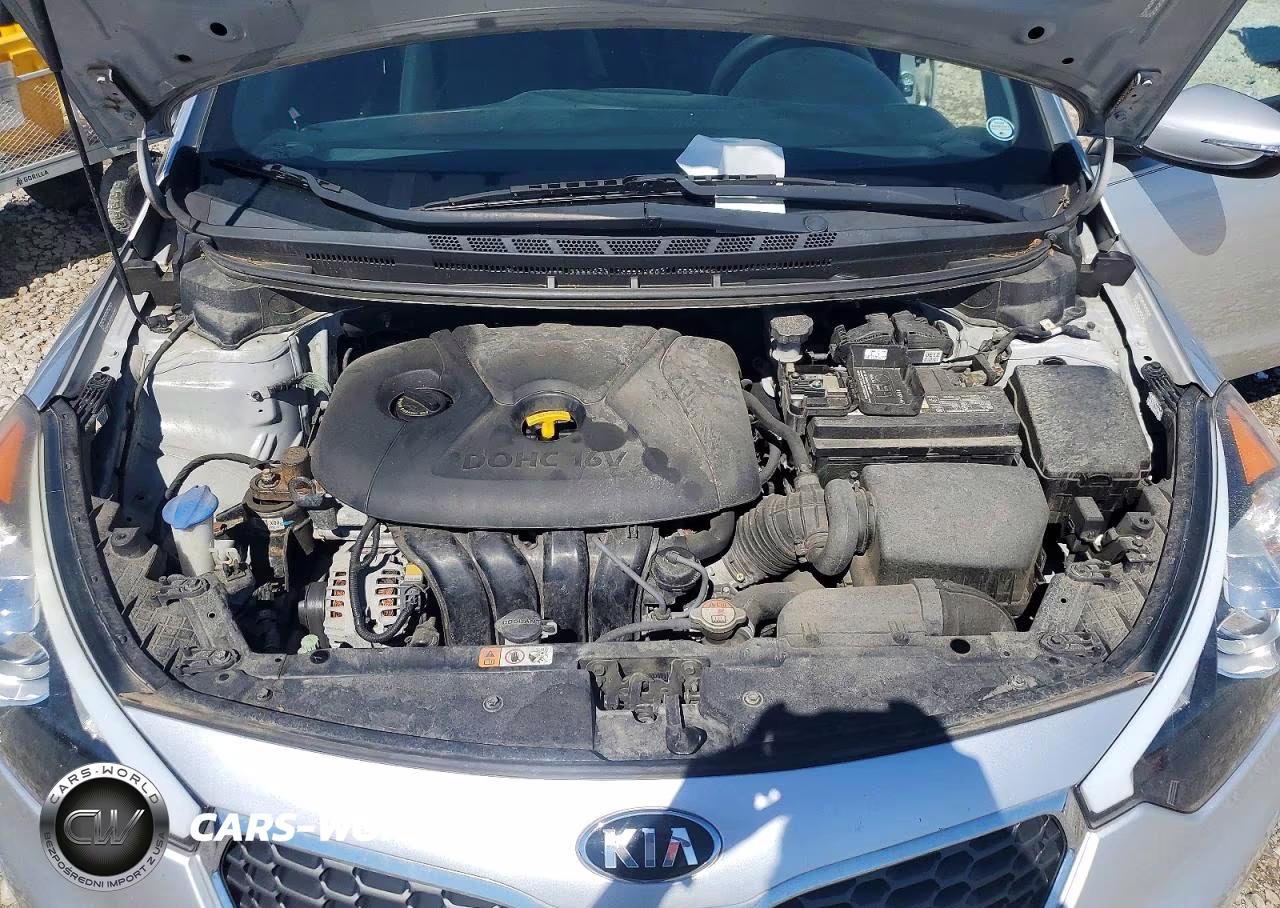 2015 Kia Forte Lx VIN:KNAFX4A65F5297808 - 11