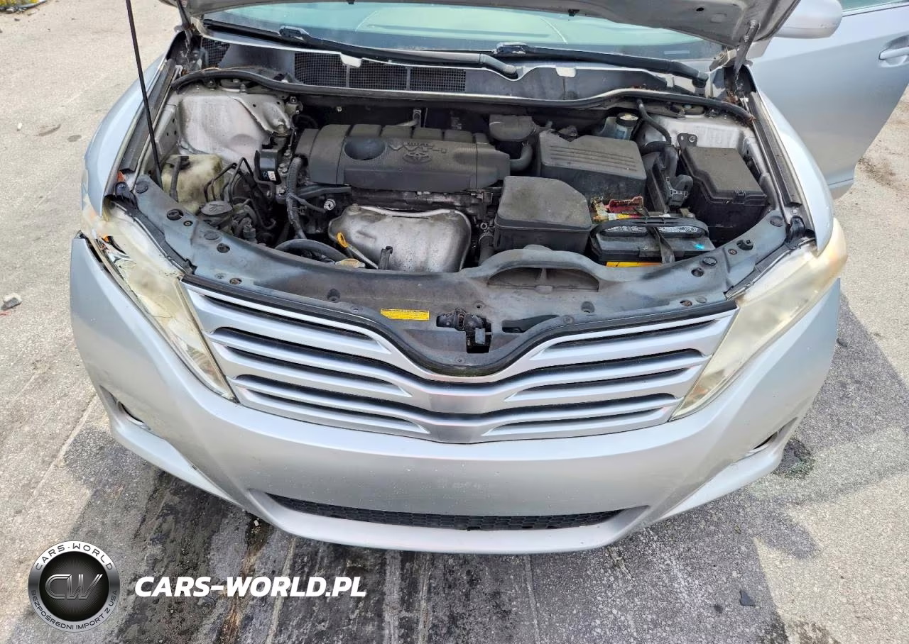 2010 Toyota Venza Fwd 4Cyl VIN:4T3ZA3BB7AU034454 - 12