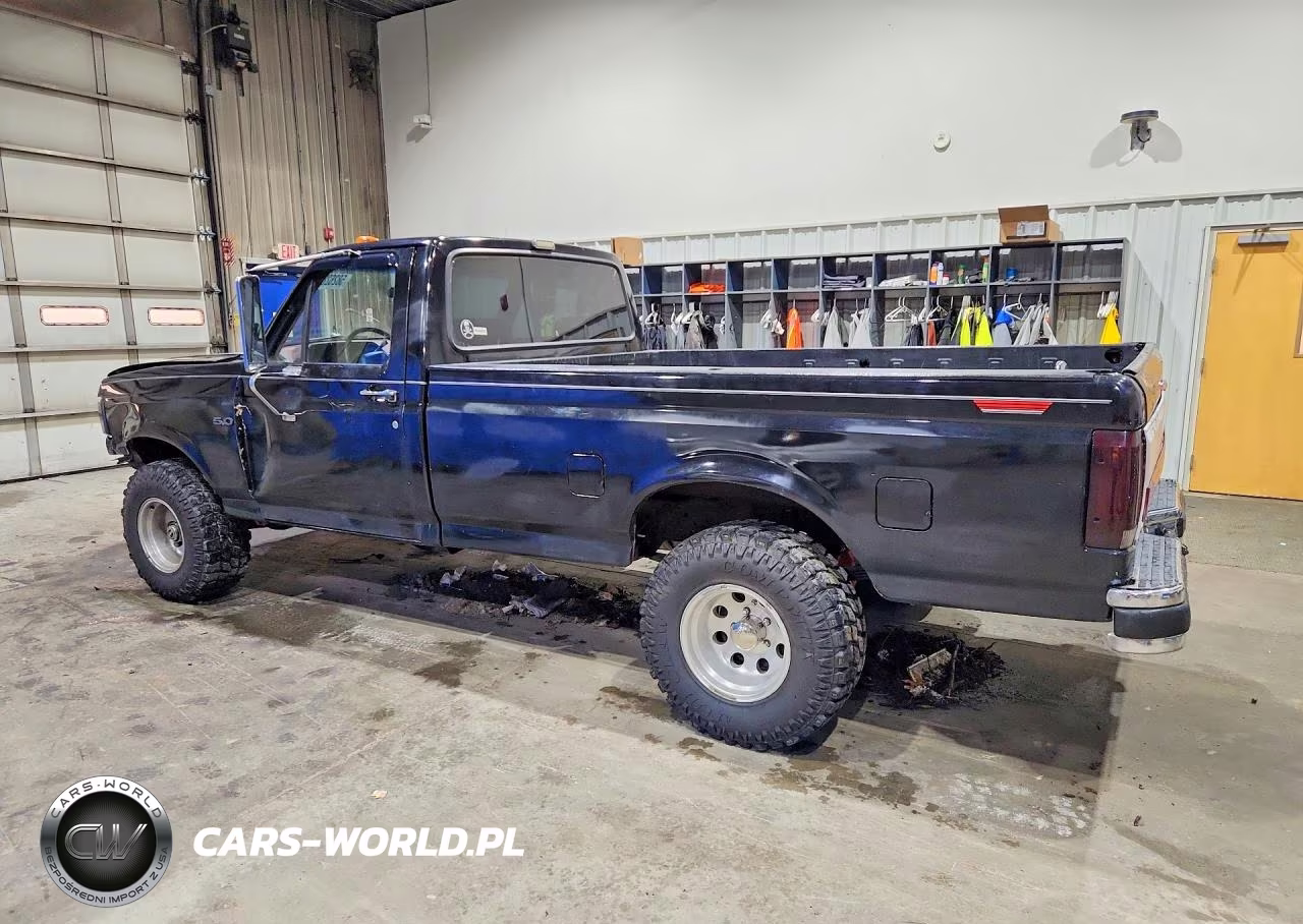 1991 Ford F150 VIN:1FTEF14N2MNA28651 - 2