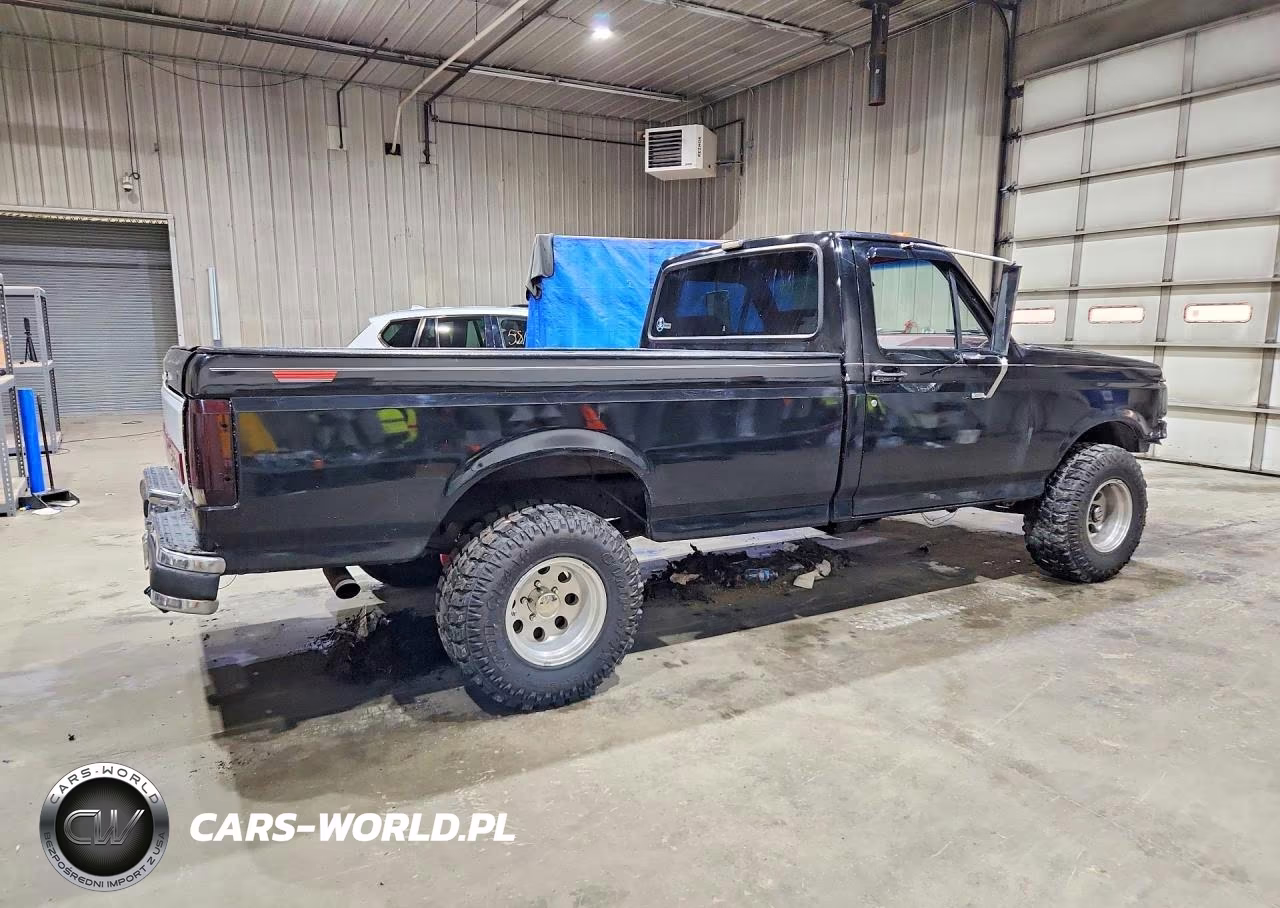 1991 Ford F150 VIN:1FTEF14N2MNA28651 - 3