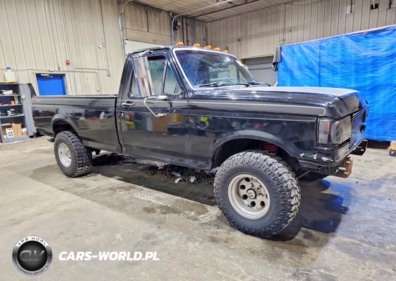 1991 Ford F150 VIN:1FTEF14N2MNA28651 - 4