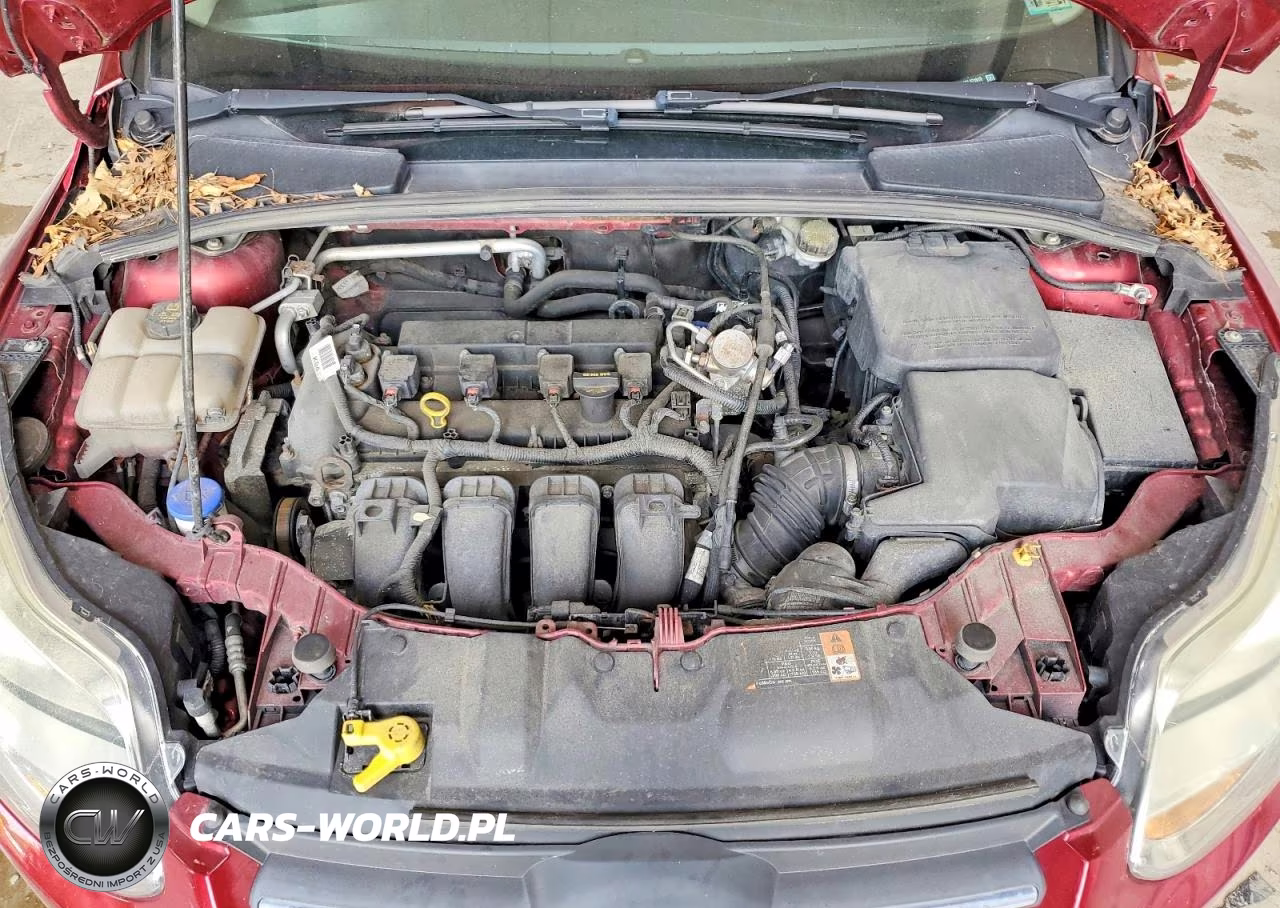 2014 Ford Focus Se VIN:1FADP3K20EL371913 - 11
