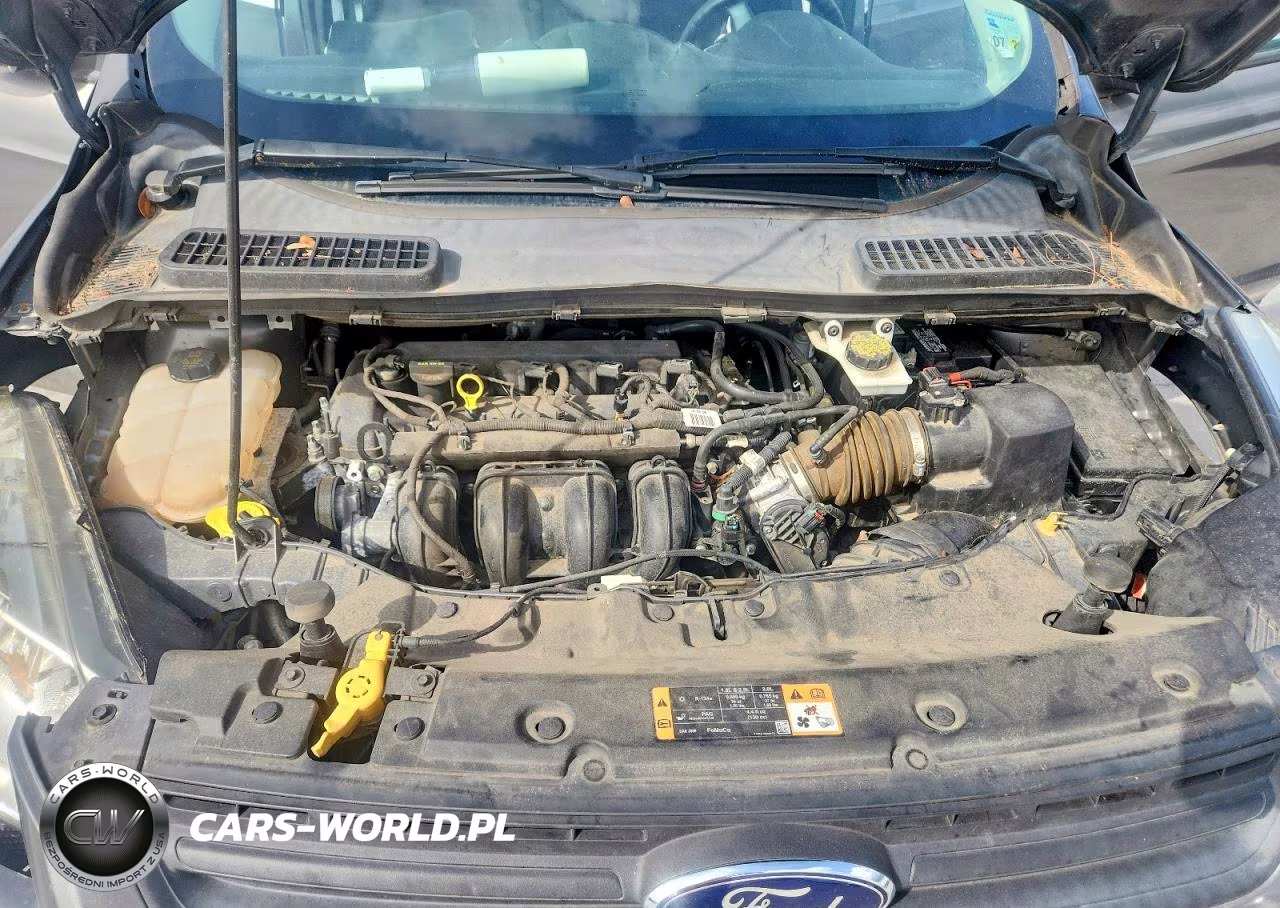 2014 Ford Escape S VIN:1FMCU0F72EUD22205 - 11