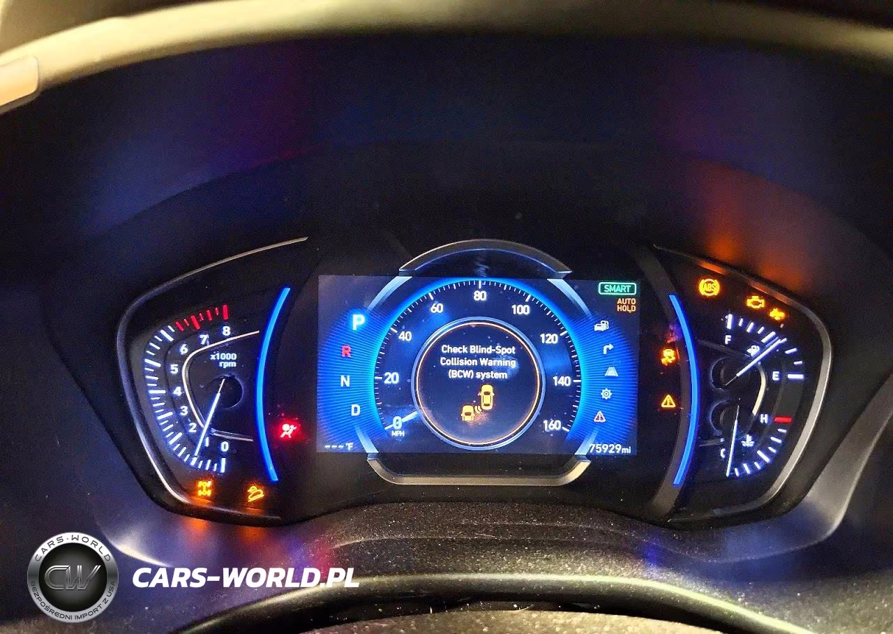 2020 Hyundai Santa Fe Limited 2.0T VIN:5NMS5CAA8LH299180 - 9