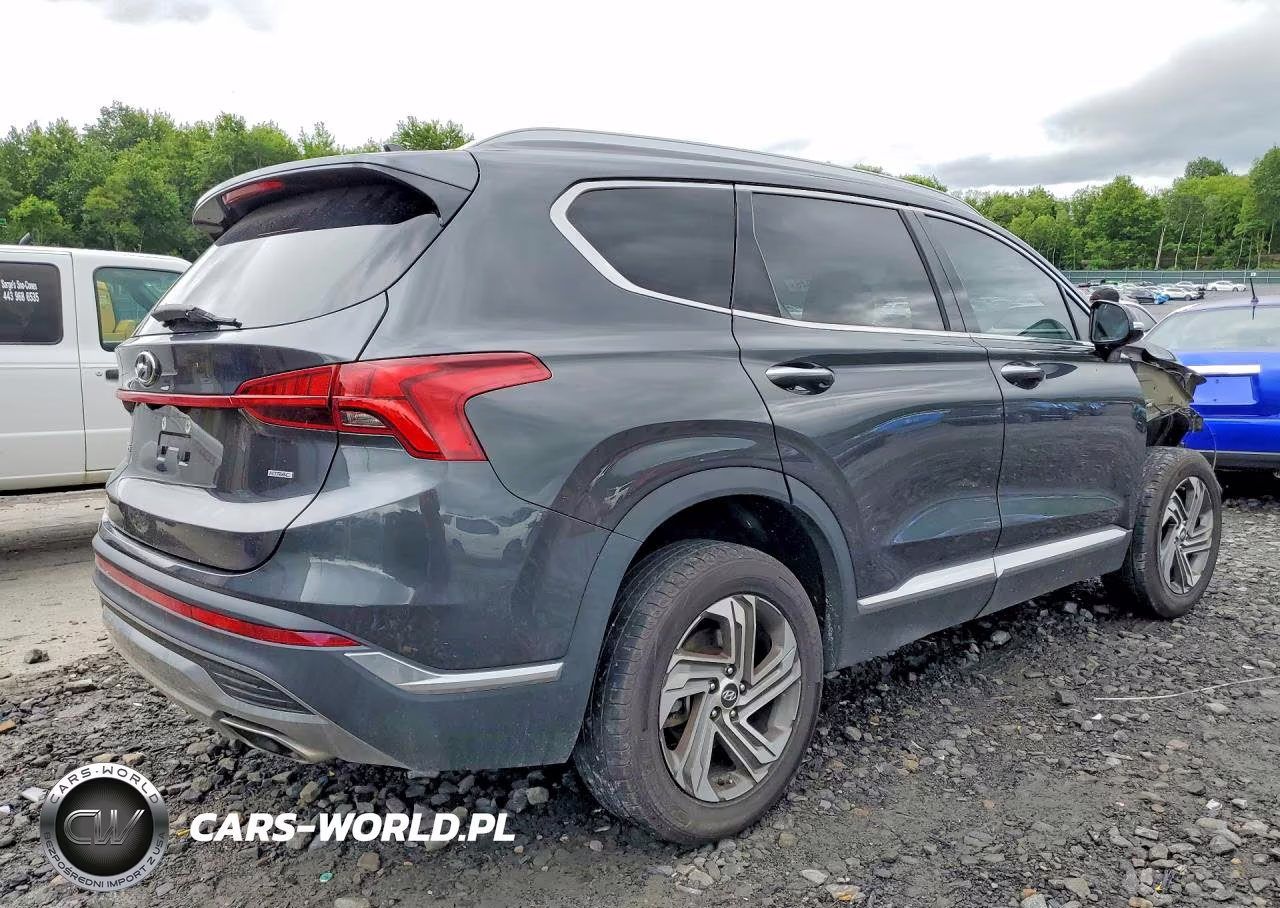 2021 Hyundai Santa Fe Sel VIN:5NMS6DAJ2MH319167 - 3