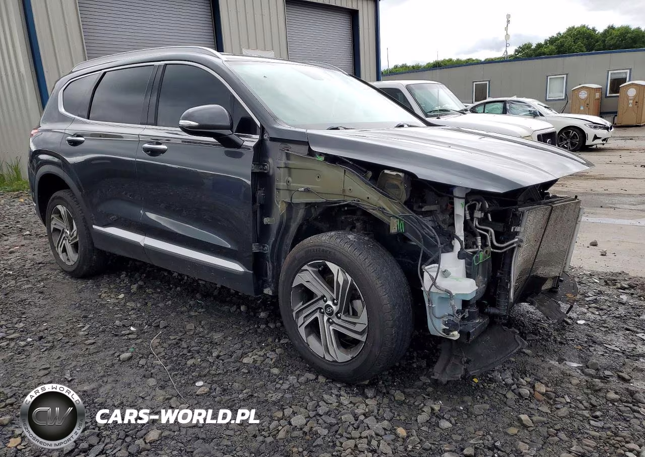 2021 Hyundai Santa Fe Sel VIN:5NMS6DAJ2MH319167 - 4