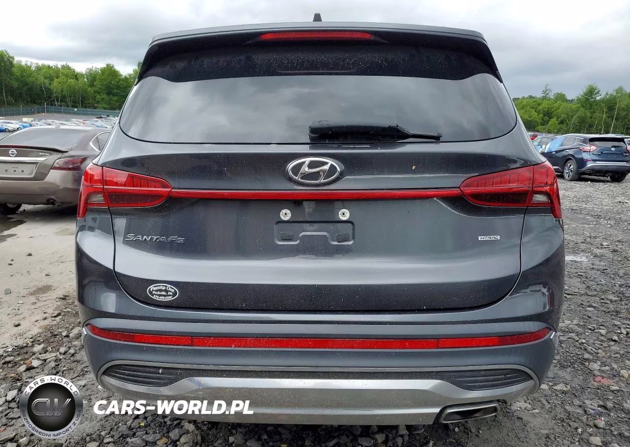 2021 Hyundai Santa Fe Sel VIN:5NMS6DAJ2MH319167 - 6