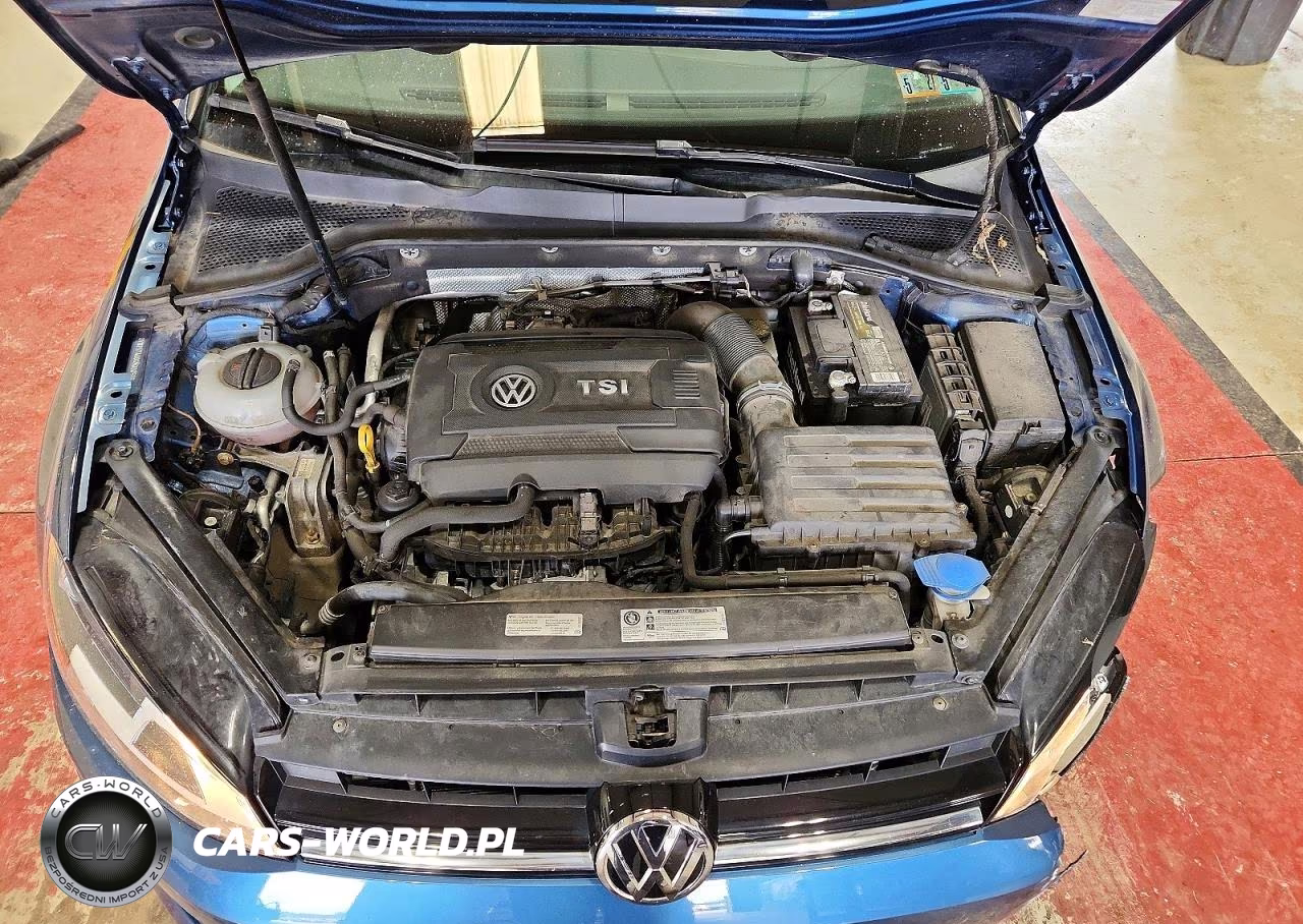 2016 Volkswagen Golf S-Se VIN:3VW217AU8GM020565 - 11