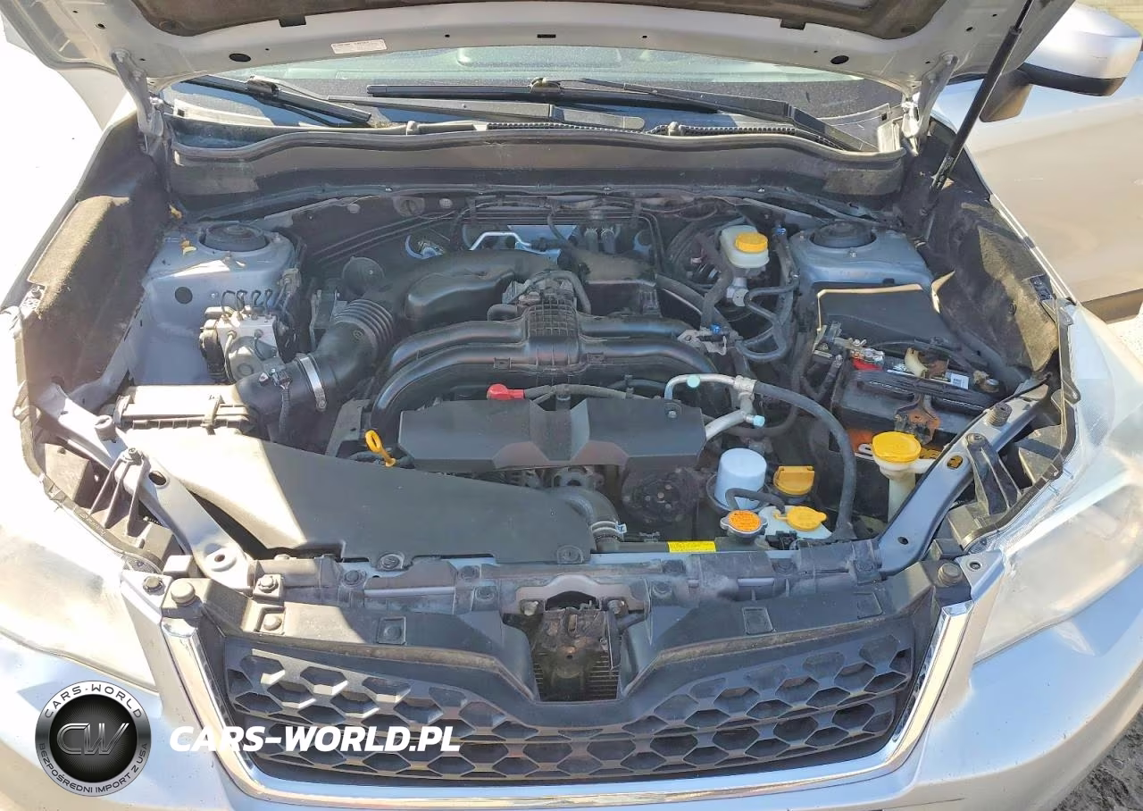 2015 Subaru Forester 2.5I Premium VIN:JF2SJADC6FH532509 - 12