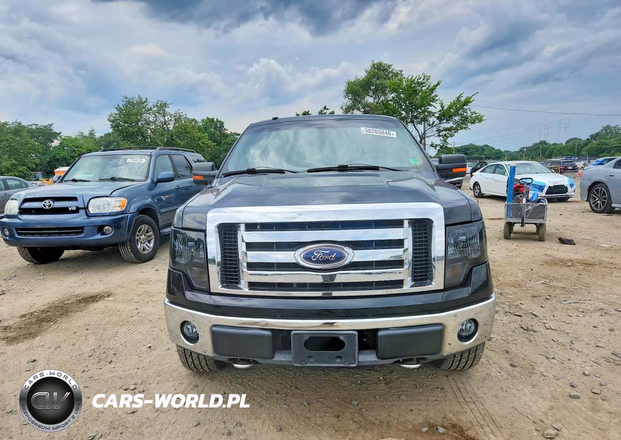 2009 Ford F150 Supercrew VIN:1FTPW14V19FA71162 - 5