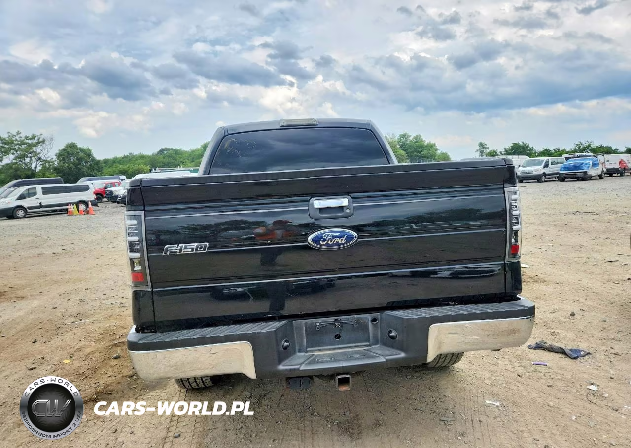 2009 Ford F150 Supercrew VIN:1FTPW14V19FA71162 - 6