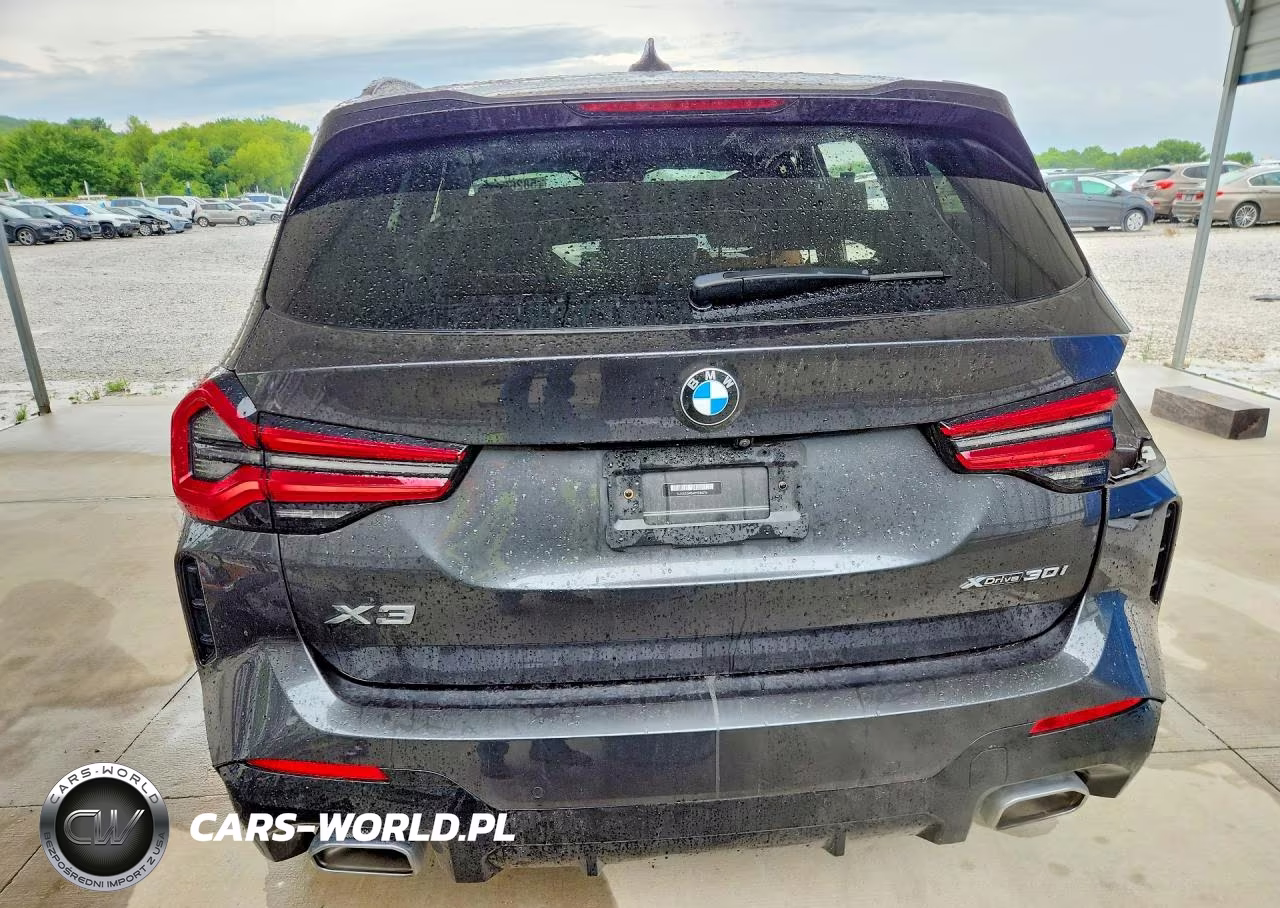 2023 BMW X3 xDrive30I VIN:5UX53DP04P9P80714 - 6