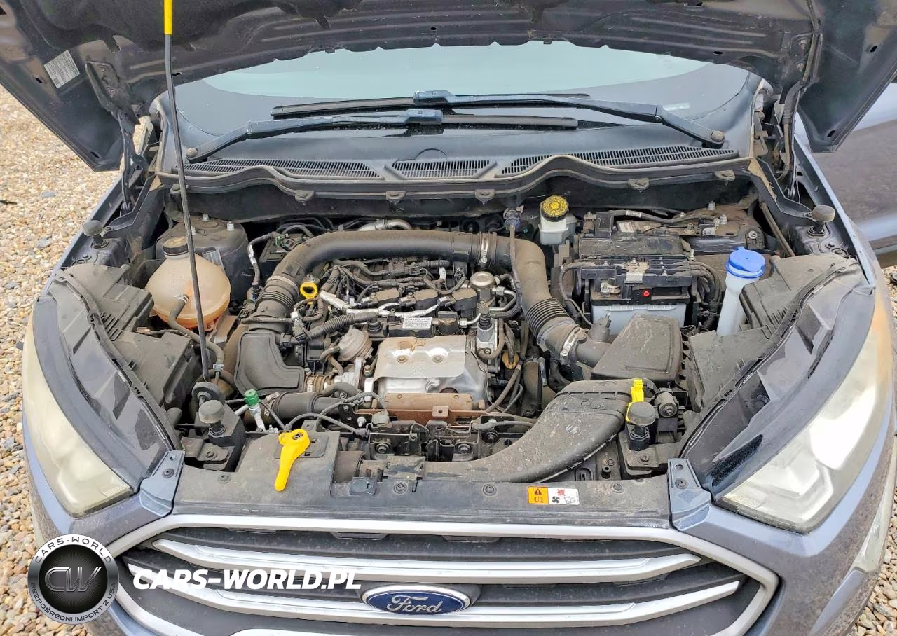 2019 Ford - Ford Eco VIN:MAJ3S2GE6KC272547 - 12