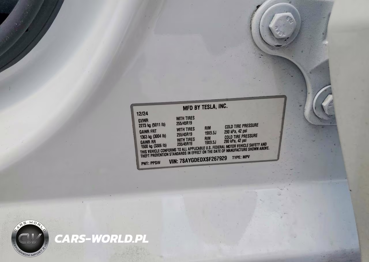 2025 Tesla Model Y VIN:7SAYGDEDXSF267929 - 12