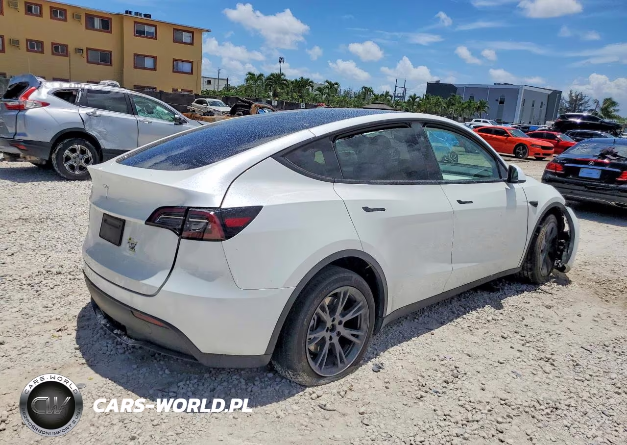 2025 Tesla Model Y VIN:7SAYGDEDXSF267929 - 3
