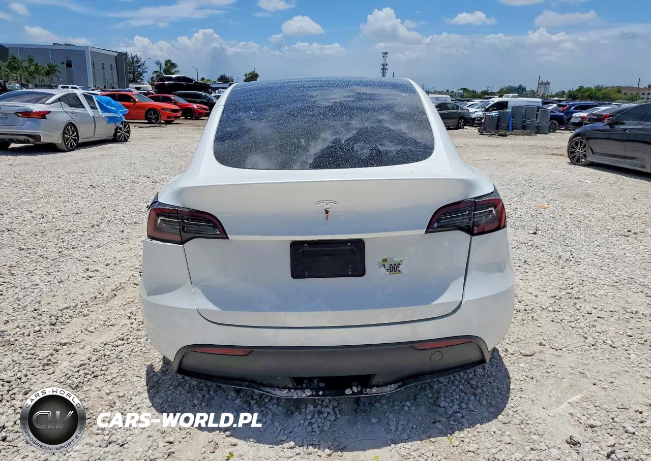 2025 Tesla Model Y VIN:7SAYGDEDXSF267929 - 6