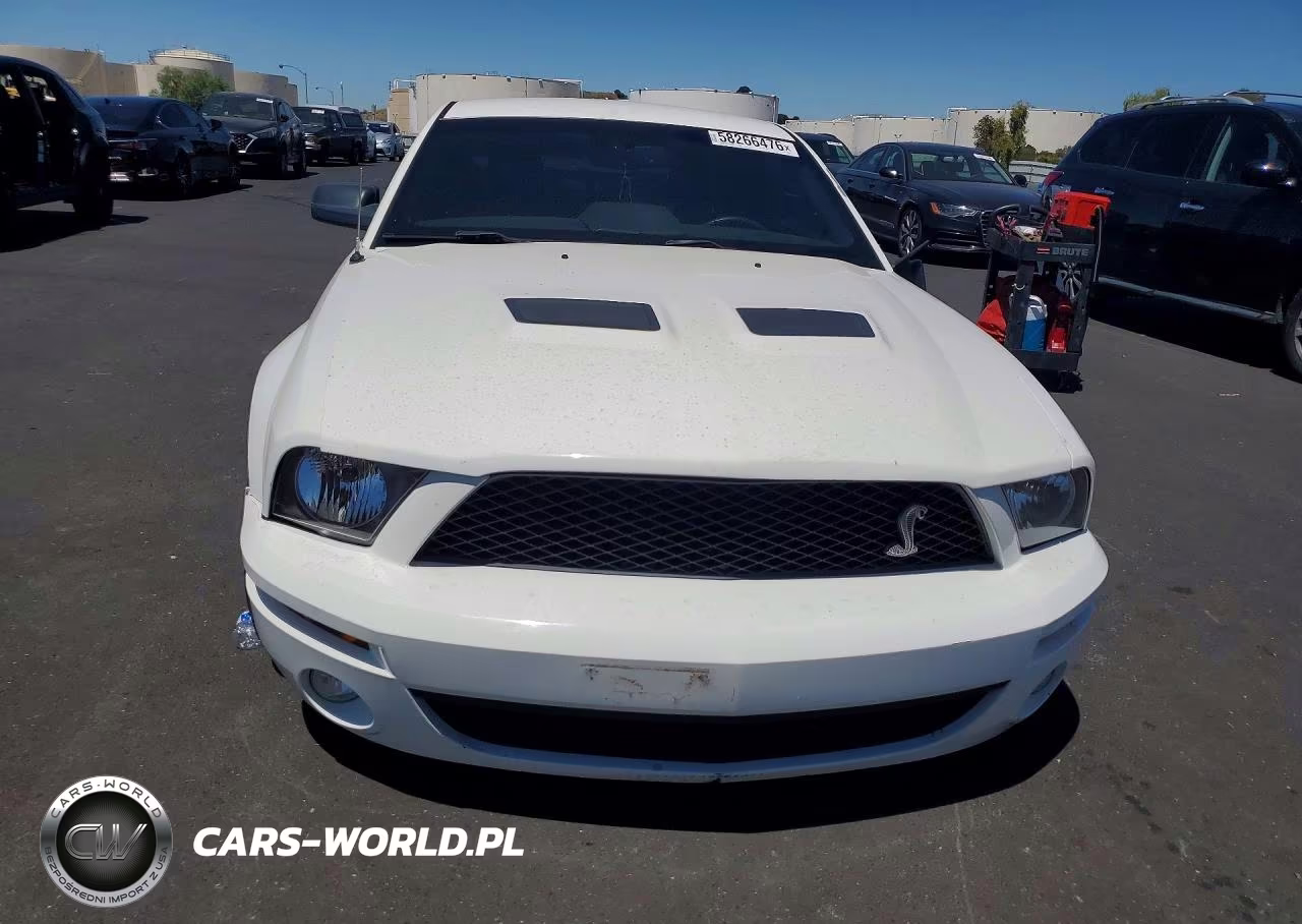2007 Ford Mustang Shelby Gt500 VIN:1ZVHT88S875205493 - 5