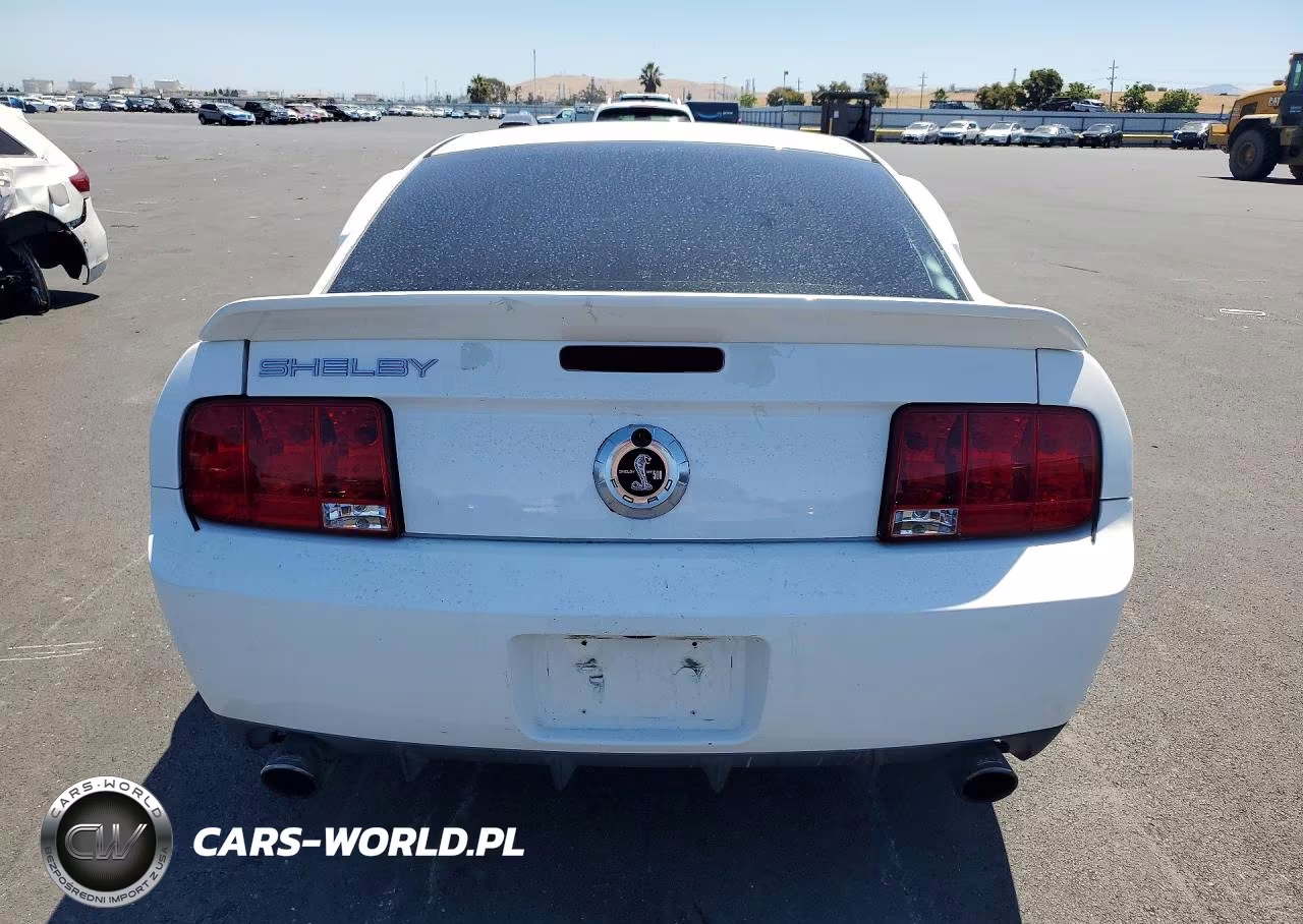 2007 Ford Mustang Shelby Gt500 VIN:1ZVHT88S875205493 - 6