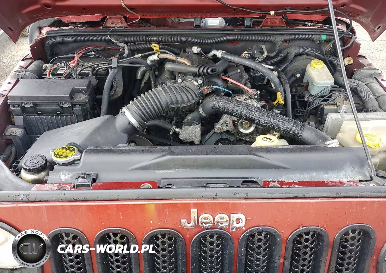 2010 Jeep Wrangler Sport VIN:1J4AA2D16AL119780 - 11