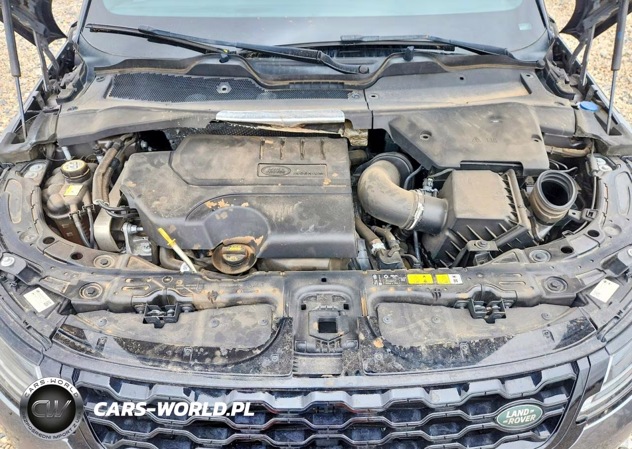 2020 Land Rover Landrover VIN:SALZP2FX4LH007955 - 12