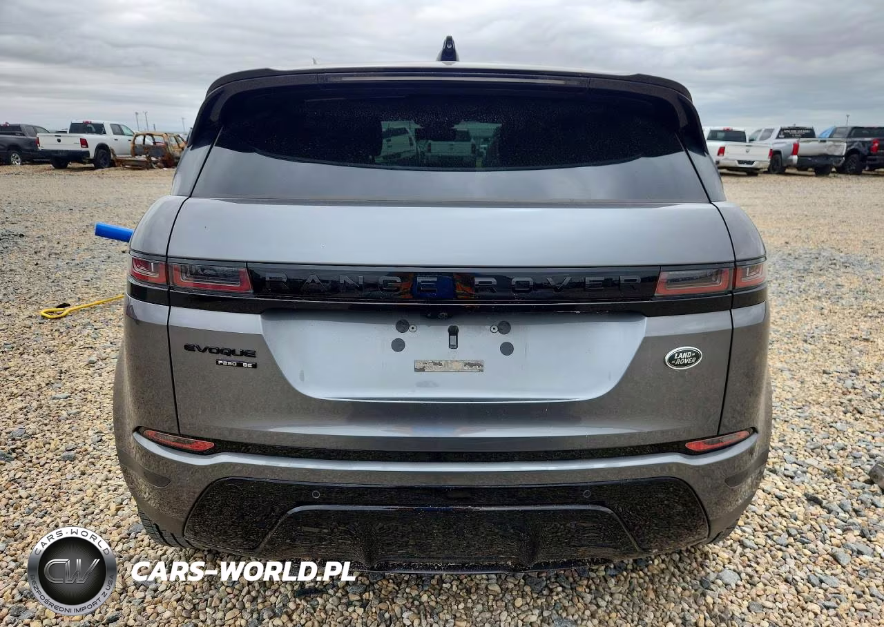 2020 Land Rover Landrover VIN:SALZP2FX4LH007955 - 6