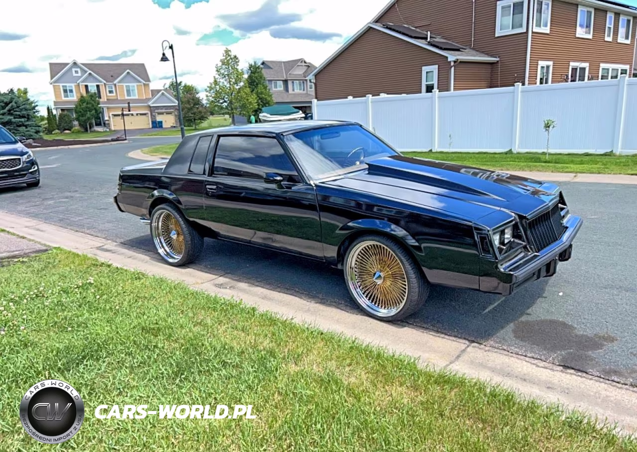 1981 Buick Regal – zdjęcie 1 z 10