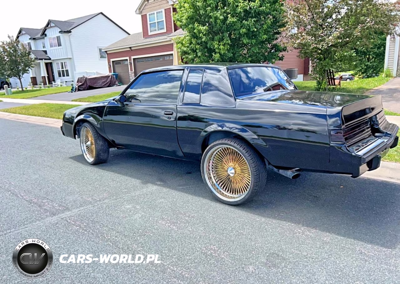 1981 Buick Regal VIN:1G4AJ47A0BG120538 - 3
