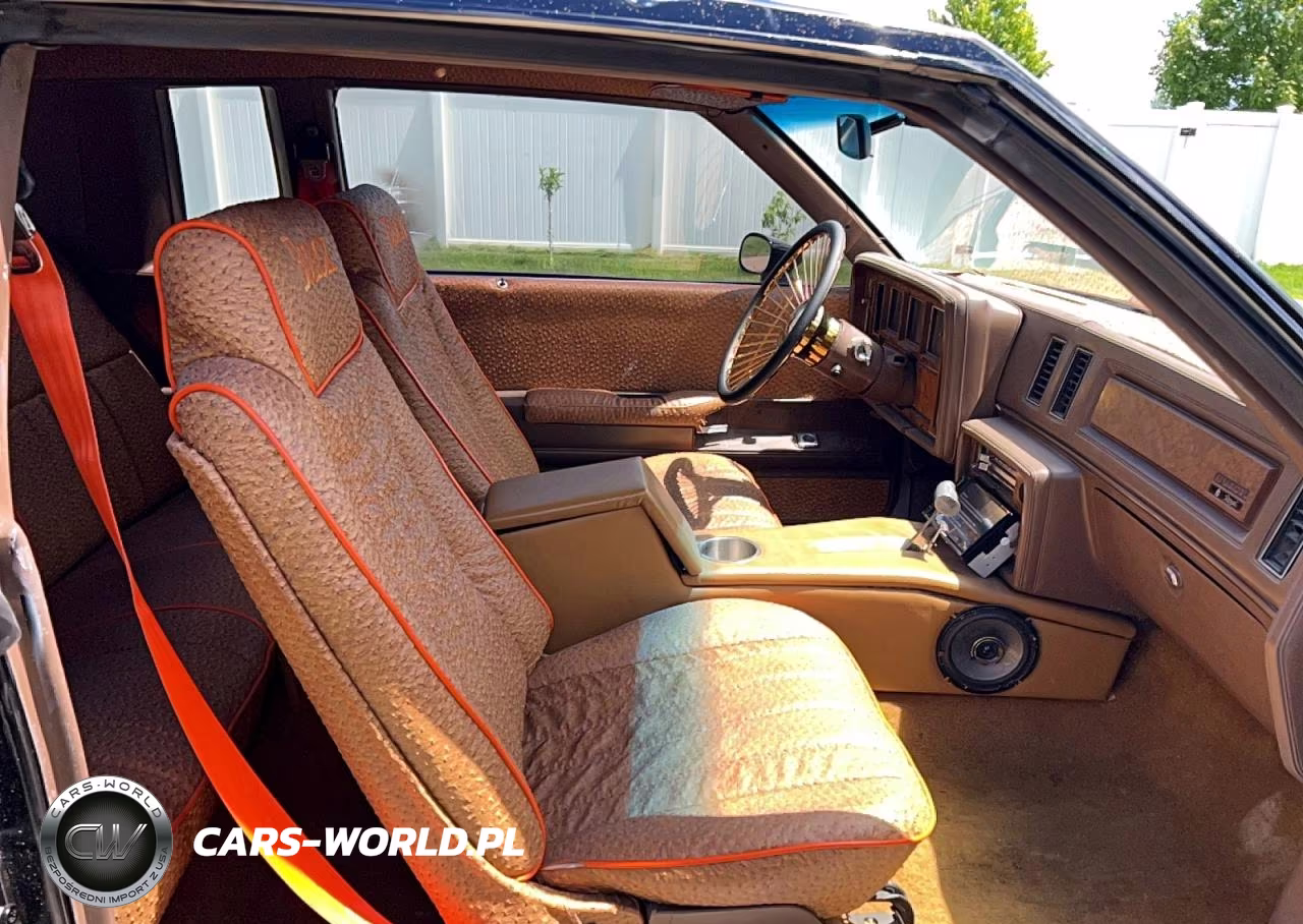 1981 Buick Regal VIN:1G4AJ47A0BG120538 - 5