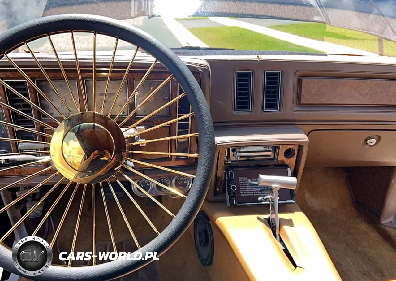 1981 Buick Regal VIN:1G4AJ47A0BG120538 - 9