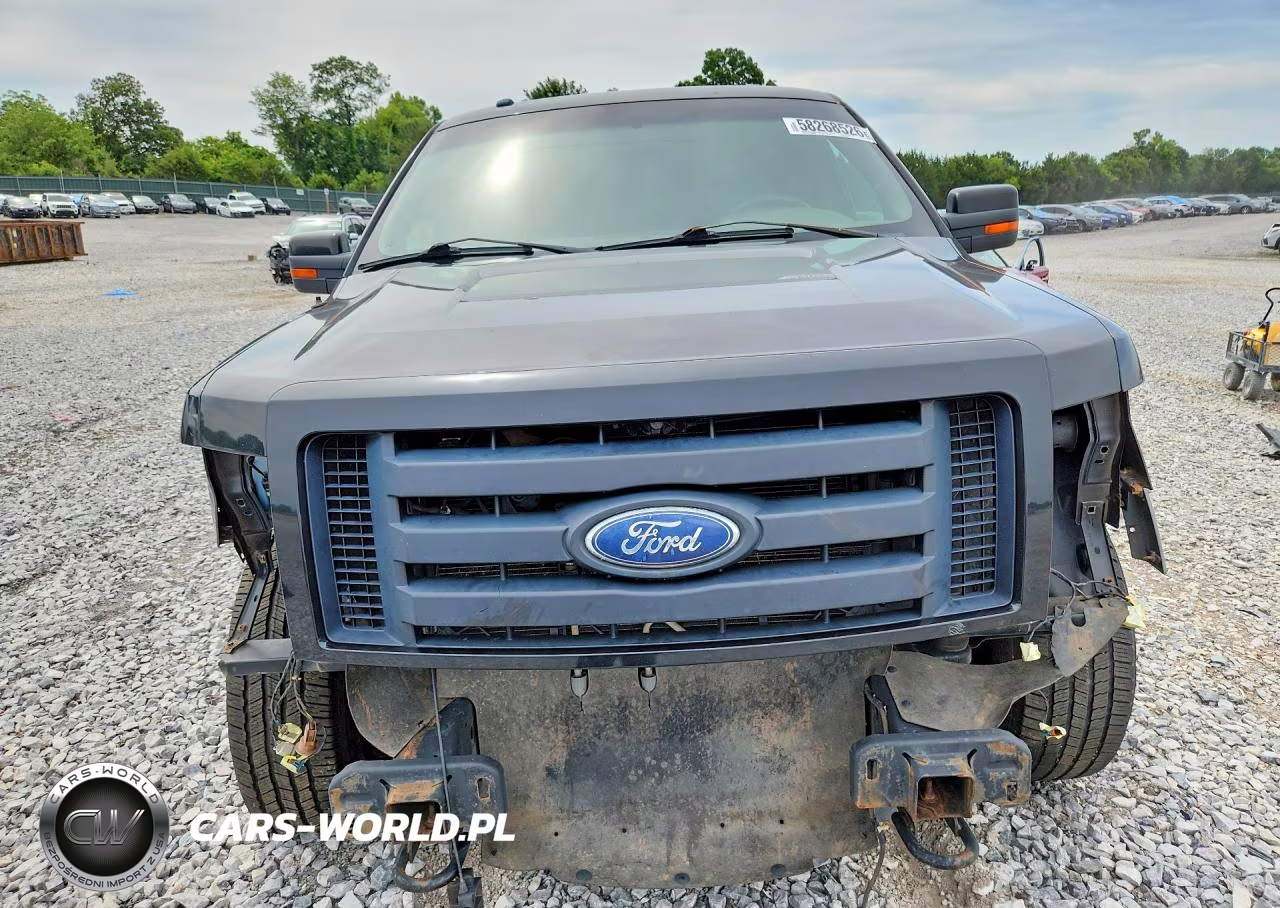 2010 Ford F150 Supercrew VIN:1FTFW1EV8AFD35248 - 5