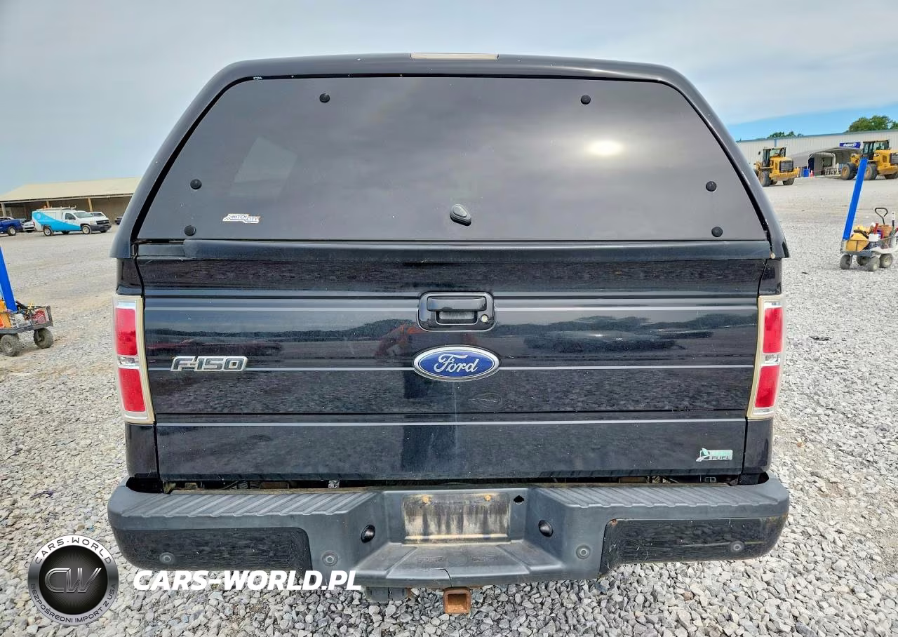 2010 Ford F150 Supercrew VIN:1FTFW1EV8AFD35248 - 6