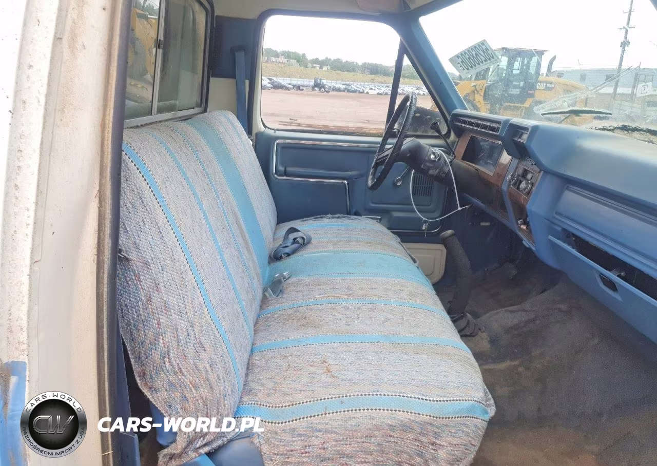 1981 Ford F-150 Styleside VIN:1FTDF14G4BRA43588 - 10