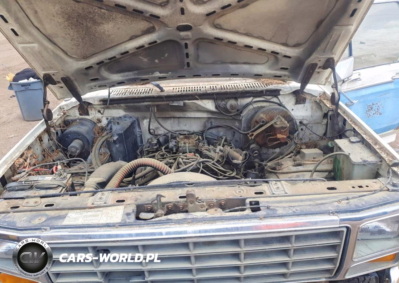 1981 Ford F-150 Styleside VIN:1FTDF14G4BRA43588 - 11
