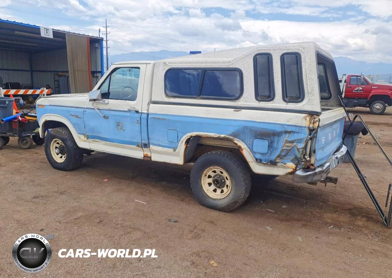1981 Ford F-150 Styleside VIN:1FTDF14G4BRA43588 - 2