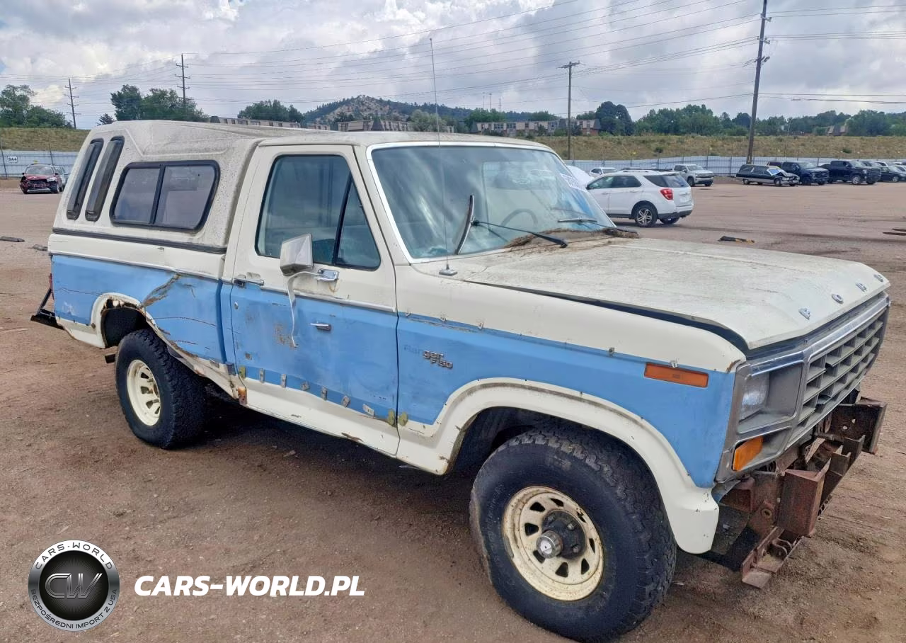 1981 Ford F-150 Styleside VIN:1FTDF14G4BRA43588 - 4