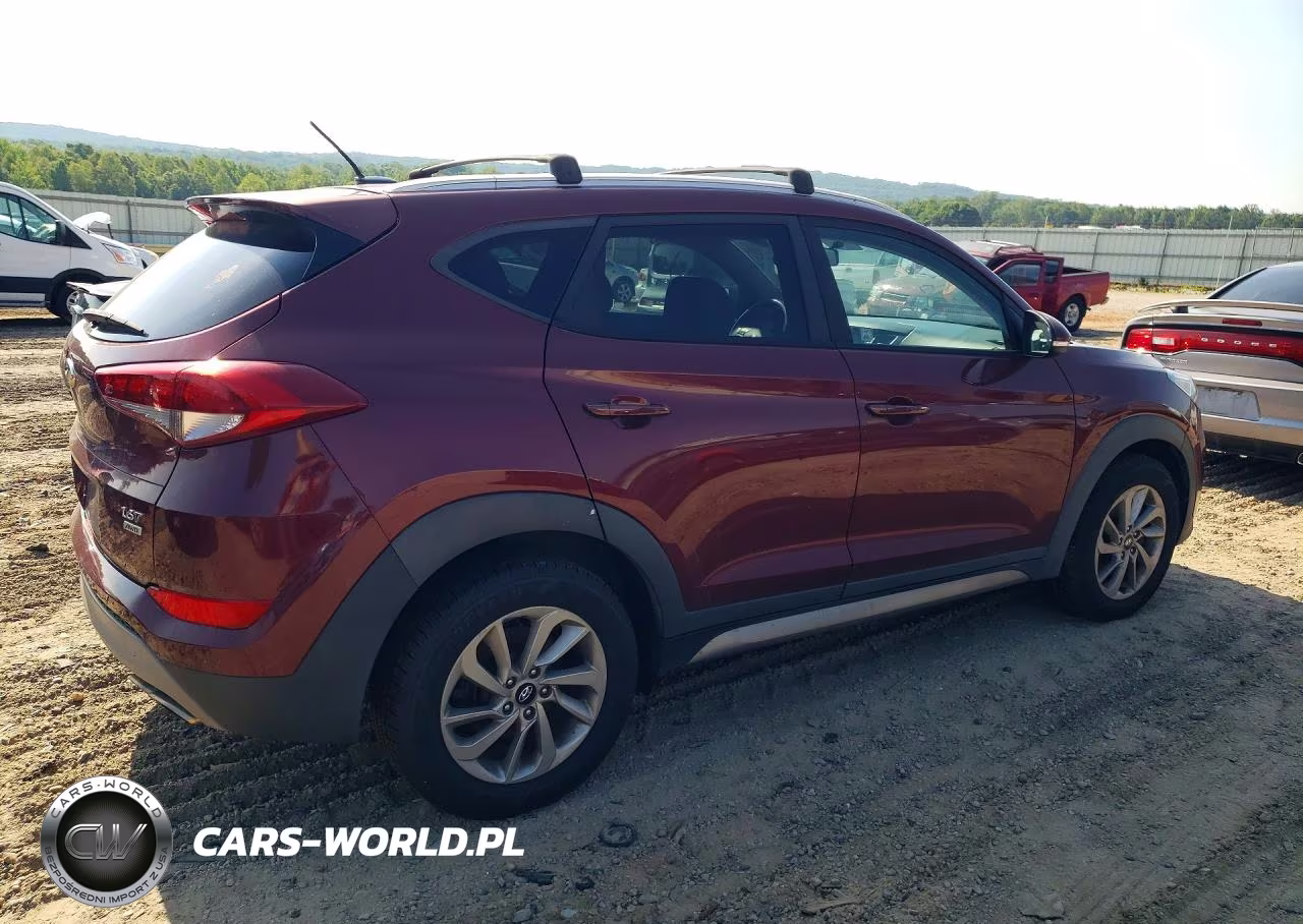 2017 Hyundai Tucson Eco VIN:KM8J3CA24HU291311 - 3