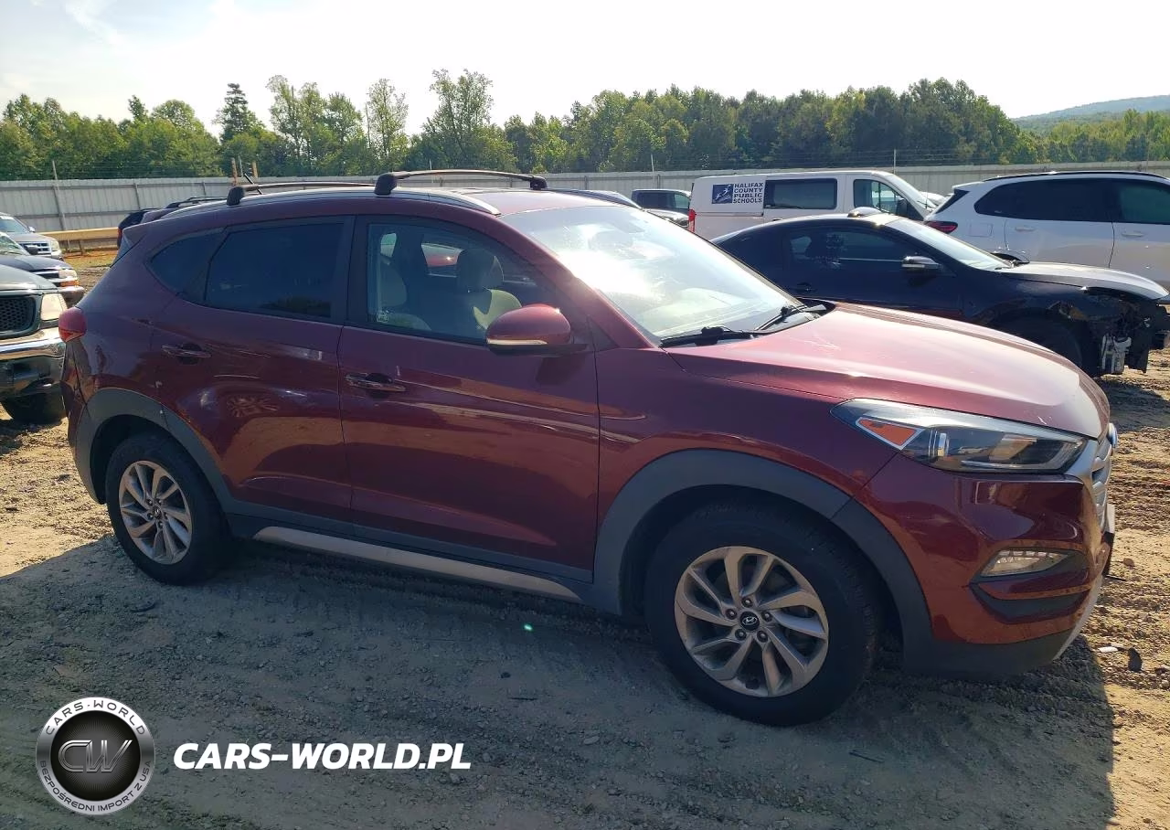 2017 Hyundai Tucson Eco VIN:KM8J3CA24HU291311 - 4