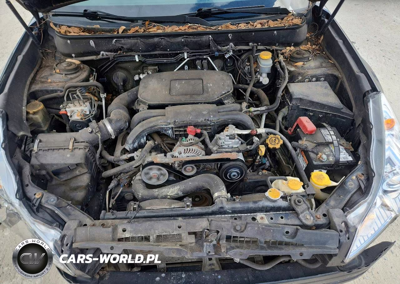 2010 Subaru Outback 2.5I Premium VIN:4S4BRBCC5A3373143 - 12