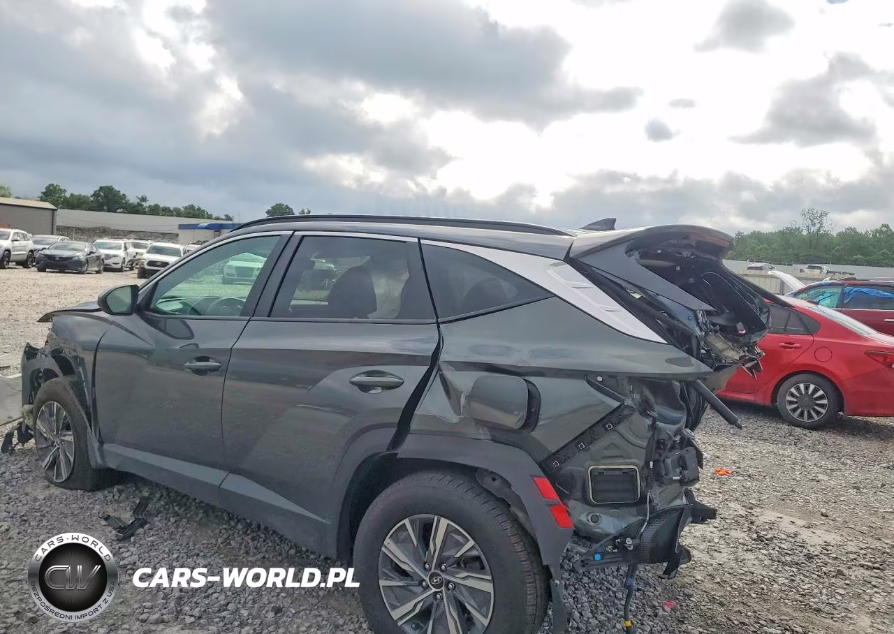 2024 Hyundai Tucson Blue VIN:KM8JBCD1XRU196176 - 2